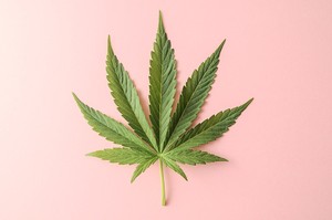 Kini Ganja Diolah Menjadi Campuran Mentega yang Enak