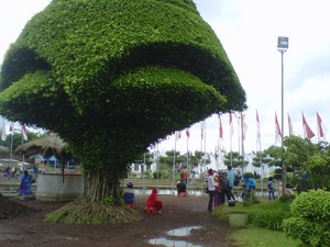 Taman Galaxy, Tempat Wisata Gratis di Jember