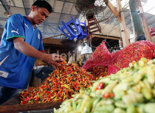 Harga Merangkak Naik, Ini Harapan Petani Cabai