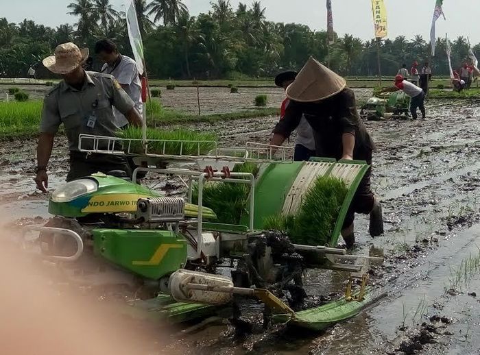 Pemerintah Bagi bagi 100 000 Alsintan  Tahun Depan