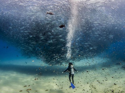 20 Foto Terbaik National Geographic 2015