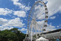 Di ujung barat ada bianglala The Wheel of Brisbane. Tingginya 60 meter dan jadi favorit wisatawan untuk melihat pemandangan (Fitraya/detikTravel)