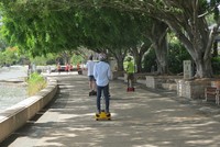 Wisatawan naik segway menyusuri pepohonan rindang di Clem Jones Promenade yang ada di Taman South Bank (Fitraya/detikTravel)