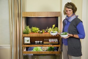 Dengan Alat Ini, Anda Bisa Berkebun Sayuran di Dalam Rumah!