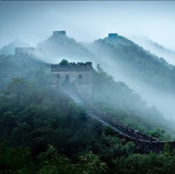 Jepretan Foto Keren Pendiri MySpace