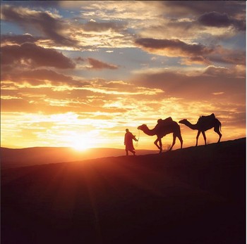 Ia kerap membagikan ke Instagram dan menuai banyak pujian. (kredit foto: Instagram)