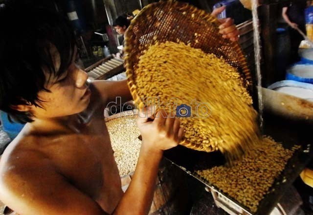 Importir Wajib Serap Kedelai Lokal, Mentan: Petani Harus Dibela