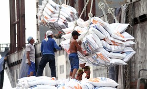 Jaga Stok Pangan Tahun Depan, RI Impor Beras Hingga Sapi