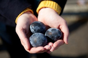 Kuro Tamago, Telur Berkulit Hitam yang Dipercaya Memperpanjang Usia