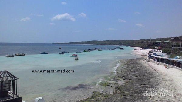 Melihat Penangkaran Penyu Di Tanjung Bira