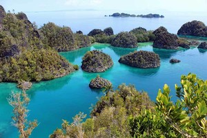6 Tips Liburan ke Raja Ampat