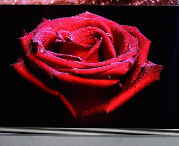 TV LG Setipis Kartu Kredit