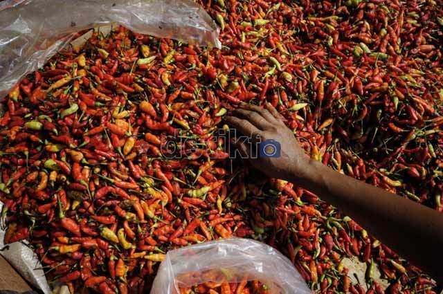 Harga Cabai Melonjak, Kementan: Rantai Distribusinya Kepanjangan