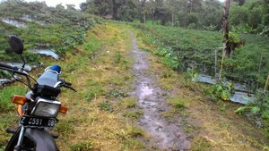 Cerita Sulitnya Kirim Cabai dari Garut ke Jakarta