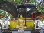 Pagoda 7 Tingkat yang Cantik di Semarang