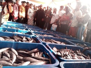 Ini Alasan Susi Izinkan Asing Kuasai Sektor Hilir Perikanan