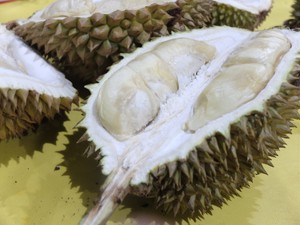 Siapa yang Kangen Ucok Durian?