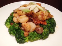 Bagi penyuka sayur terdapat Stir Fried Crispy Broccoli with Scallop and XO Sauce.