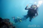 Diving Sambil Selfie di Forklift