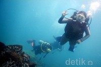 Kendaraan bekas yang sudah rusak itu sengaja diletakkan di dasar laut sengaja untuk menjadi tontotan para penyelam yang memang kerap menyelam di Pasir Putih. Pool/Arifin/detikFoto.