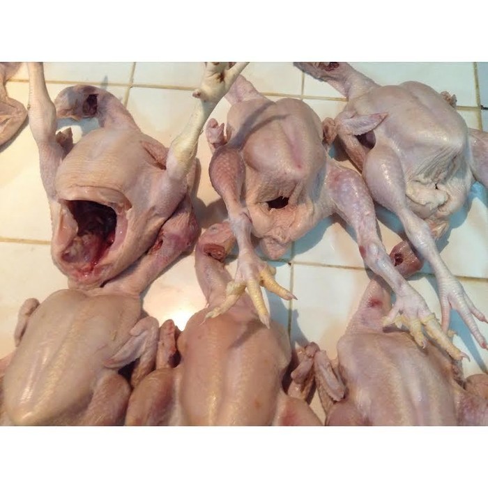 Nasib Pedagang Ayam: Jual Murah Rugi, Mahal Tak Dibeli