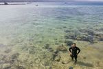 Santai Sejenak di Tepi Teluk Pasarwajo