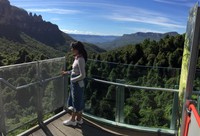 Scenic World adalah salah satu objek wisata tertinggi di dunia. Berada di kawasan Blue Mountain, wisatawan bisa menjajal 3 wahana berbeda yang tentunya bikin kamu tertantang (Elvan/detikTravel)