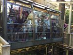 3 Kali Keseruan Menantang Adrenalin di Scenic World