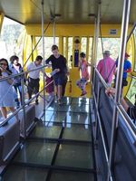 3 Kali Keseruan Menantang Adrenalin di Scenic World