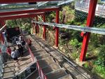 3 Kali Keseruan Menantang Adrenalin di Scenic World