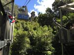 3 Kali Keseruan Menantang Adrenalin di Scenic World