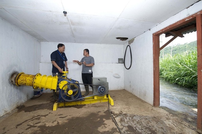 Unik, Warga di 4 Desa Ini Bayar Listrik Pakai Singkong Hingga Bebek