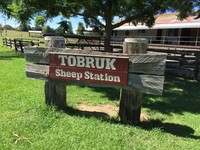 Tobruk Ship Station adalah pusat ternak domba di New South Wales. Memang daerah ini dikenal sebagai penghasil daging domba dan bulu domba yang sangat hangat (Elvan/detikTravel)