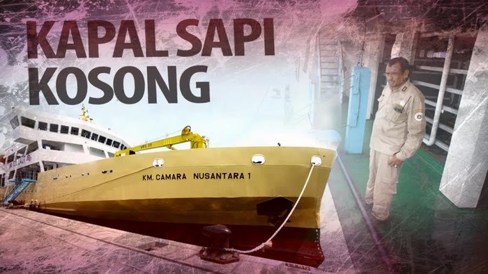 Kapal Sapi Kosong, Apakah Kemenhub Tetap Tambah 5 Unit Lagi?
