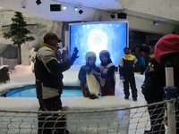 Kalau mau puas memeluk dan melihat penguin, siapkan kocek 510 Dirham atau sekitar Rp 2 juta. Itu adalah harga tiket untuk special show yang menampilkan penguin-penguin (Ine/detikTravel)
