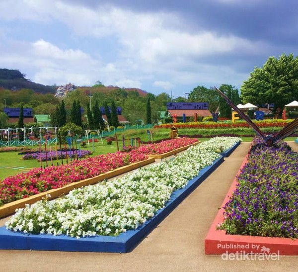 Yang beda di Thailand Wisata ke  Kebun Anggur