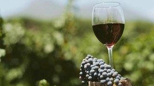Kebiasaan Unik Minum Wine dari Argentina Hingga Israel (1)
