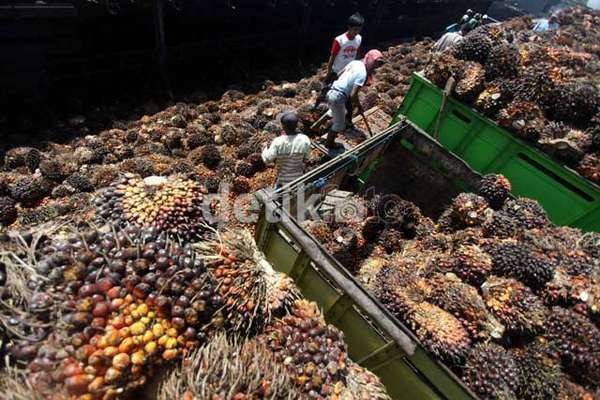 Prancis Mau Naikkan Pajak Impor CPO, Mendag: RI Langsung Komplain