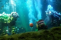 Liong bergerak maju dan berputar sambil mengejar bola mustika. Sedangkan kedua barongsai tampak seperti menari di dekatnya (Kurnia/detikTravel)