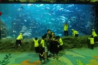 Pengunjung bebas memotret selama pertunjukan berlangsung ataupun sesudahnya. Tempat ini memang menjadi salah satu lokasi foto favorit pengunjung (Kurnia/detikTravel)