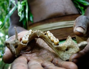 Sisa-sisa Suku Kanibal di Samudera Pasifik