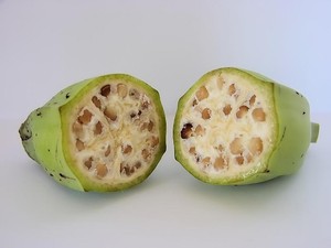 Aslinya Bentuk Pisang dan Jagung Lebih Kecil dan Tak Layak Makan