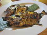 Nikmatnya Menyantap Kepiting Papua yang Berbalut Saus Padang