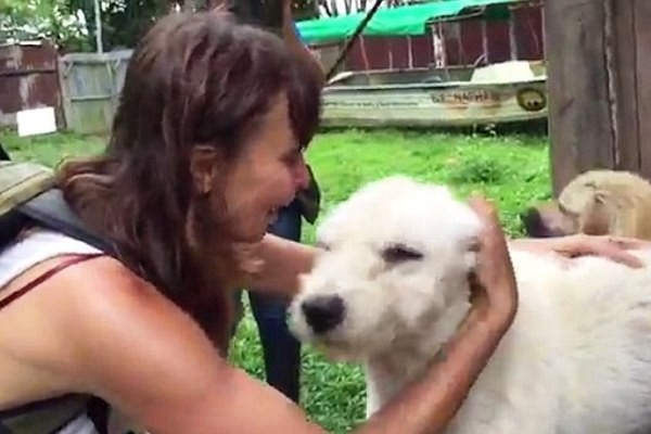 Saat Liburan, Traveler Ini Selamatkan Anjing yang Terlantar