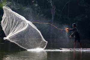 Melihat Warga Suku Baduy Menjala Ikan, Seru!