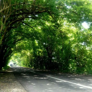 Peaceful road