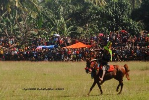 Catat, Tanggal Pagelaran Pasola 2016 di Sumba