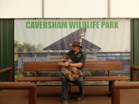Di Caversham Wildlife Park, pengunjung bisa berinteraksi langsung dengan hewan-hewan endemik. Memberi makan kanguru, selfie bareng koala, serta berfoto bareng wombat. Kandang wombat dibuka untuk wisatawan pukul 11.00, 14.00, dan 15.45 waktu setempat (Sastri/detikTravel)