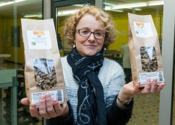 Mau Coba, Pasta Jangkrik & Belalang dari Prancis?