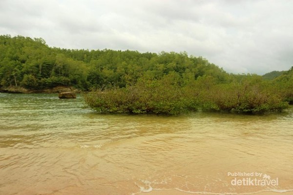 Ssst Ada Pantai Perawan Untuk Berenang Di Pacitan